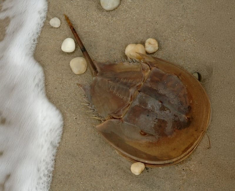 2025_Website Assets-33-800x650